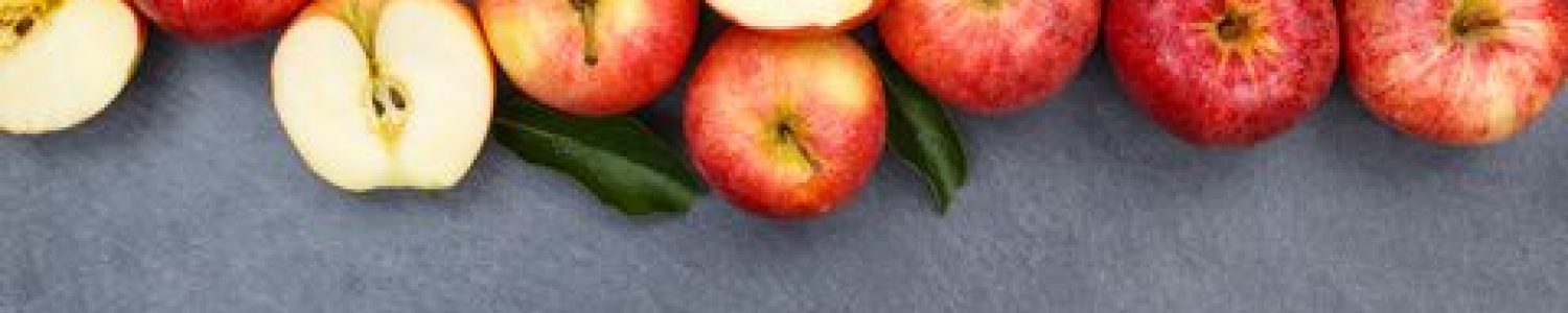 Kohanim Web Comments